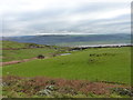 Down the hill towards Esgair-gefeiliau