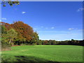 Autumn colours near Hollows Bridge, Newton le Willows