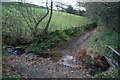 Butts Clough Ford