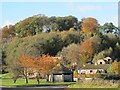 The Sands and The Motte