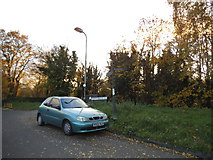 TQ2669 : Green area by Phipps Bridge Road, Merton by David Howard