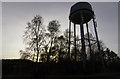 Water Tower and trees