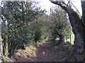 Bridleway near Rhyd-y-car