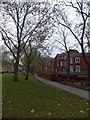 A small area of grass beside Clapham Park Road