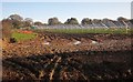 Solar farm, Woodcote