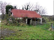 H3175 : Ruined cottage, Killen by Kenneth  Allen