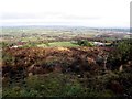 View from Kirlish Road