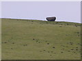 SO1657 : Bryn-y-maen recumbent standing stone by Jeremy Bolwell