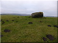 SO1657 : Bryn-y-maen standing stone in the Radnorshire Hills by Jeremy Bolwell