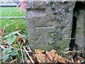 Bench mark alongside Ffordd y Pentre