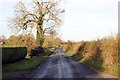 Bickerton Road approaching Egerton Green