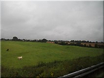O1368 : Grazing land at Claristown, Co Meath by Eric Jones