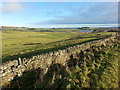 Grazing Land between East Crindledykes and West Morwood