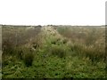 Footpath across grassland south east of Fox House Farm