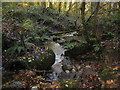 Stream by a footbridge in woodland