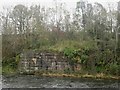 NY0831 : Former bridge abutment on the bank of the River Derwent by Graham Robson