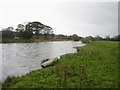 Footpath alongside the River Derwent