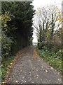 Bridleway to Peasenhall Road