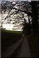 Road near Methill Hall Farm