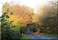 B3165 near Monkton Wyld Cross