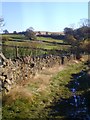 Walled path above Eldwick