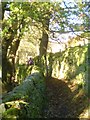 Footpath at Micklethwaite