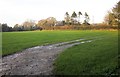 Field by Crewkerne Road