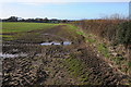 Footpath and arable field