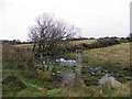 Swampy ground, Creggan