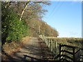 Access road for West Hall Cottage