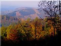 Wye Valley - Autumn Trees