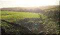 Farmland west of St Germans