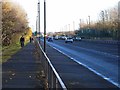 Cycleway alongside the Coast Road