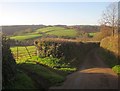 Lane near Old Treboul