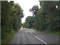 The tree-lined Longfield Road