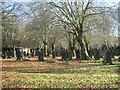 SP0588 : Key Hill Cemetery, Hockley, general view of lower area, south side by Robin Stott
