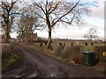 Farm road, North Barns