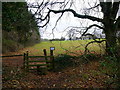 Footpath to Eddington