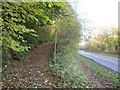 Footpath from the A374