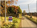 Road, Bradyston