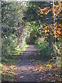 The trackbed of the former Brampton branch railway