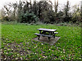 TM3877 : Picnic Table in Town Park by Geographer