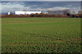 Farmland looking towards Marsh Leys