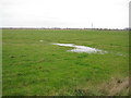 Sheerness: Sheppey Court Marshes