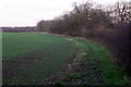 Clay Way towards Hanger Wood