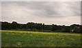 Farmland by the M11