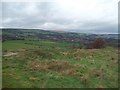 Earthwork at Melandra Castle