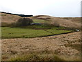 Maesglas in the Camddwr valley