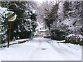 Vernon Lane Kelstedge in the snow