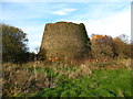 "Brymbo Bottle" in scrubland